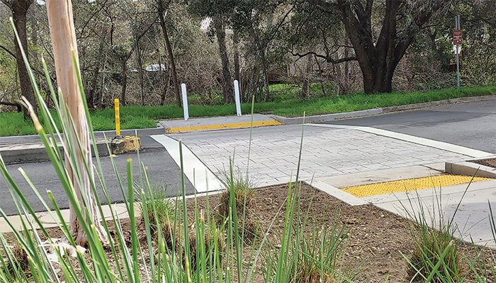 Los Alamos Trunk_700x400