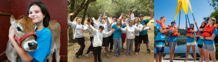 Work Experience_700x200