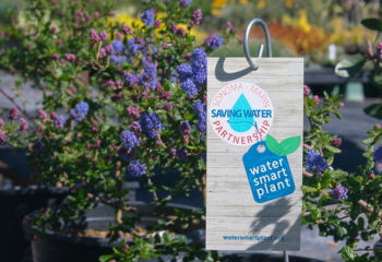 WaterSmart Plant Picker_350x240