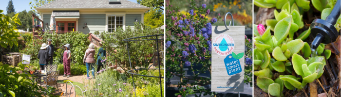 Water Awareness Month_700x200