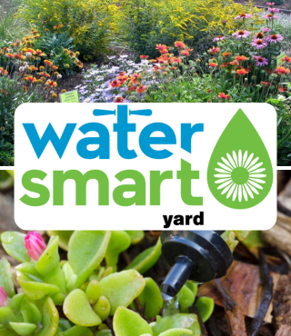 WaterSmart Yard_320x370