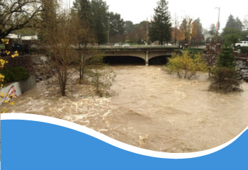 FEMA Flood Map_350x240