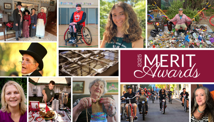 Merit Awards 2025_700x400