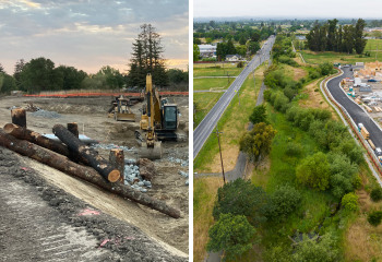 Colgan Creek_350x240