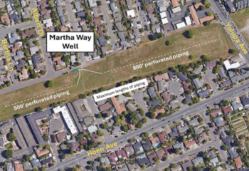 Martha Test Well_350x240