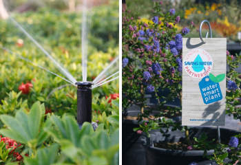 WaterSmart Irrigation Month_350x240