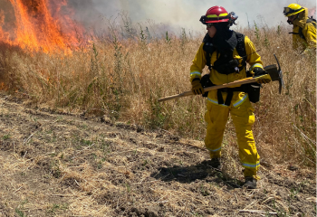 Training Burn_350x240