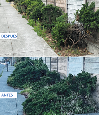 Sidewalk Maintenance_SPA_320x370