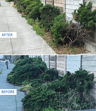 Sidewalk Maintenance_ENG_320x370