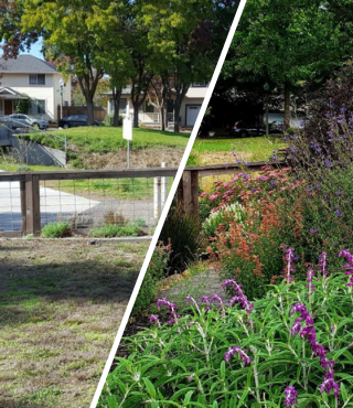 WaterSmart Irrigation Month_320x370