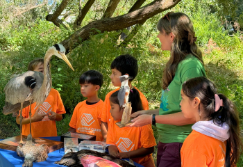 Creek Protector Adventure Day_350x240