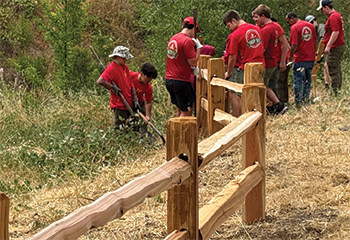 Skyhawk Park Fence Rebuild_350x240