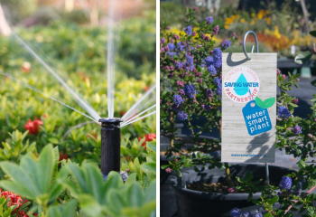 WaterSmart Irrigation Month_350x240