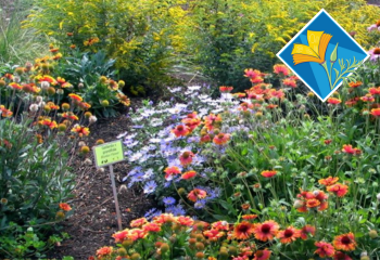 WaterSmart Webinar_350x240