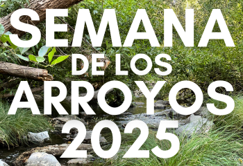 Creek Week SP_350x240