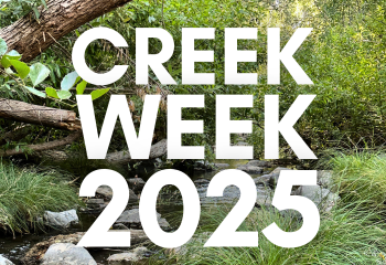 Creek Week ENG_350x240
