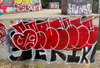 Prolific Graffiti Tagger Arrested_350x240