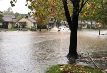 FEMA Flood Maps_350x240