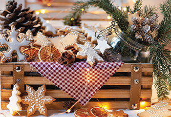 ZW Holidays Sustainable Gifting_350x240