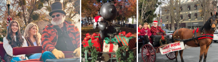 Horse and Carriage Rides_700x200