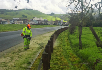 Weed Maintenance_350x240