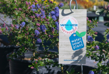Water Awareness Month_350x240