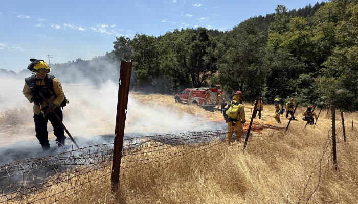 Wildfire Season_700x400