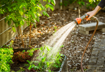 Smart Irrigation Month_350x240