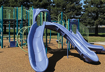 Cook School Park_350x240