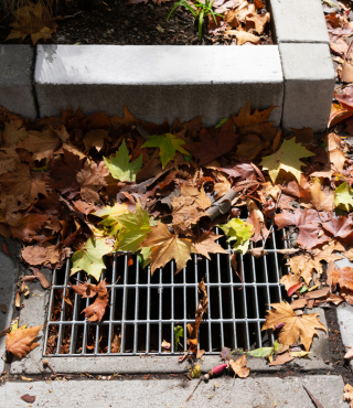 Break Out The Rake_Leaves in Gutter_320x370