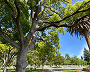Mission City Memorial Park