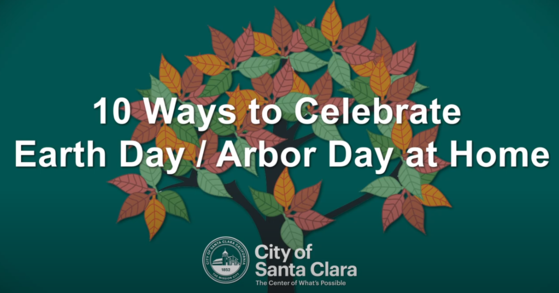 Top 10 Ways to celebrate arbor day