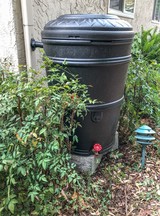 Rain Barrel