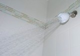 showerhead 2