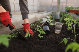 Hand Trowel