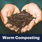 Worm Composting