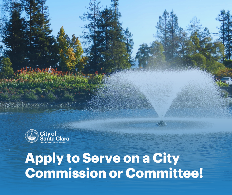 Serve on a City Commission or Committee