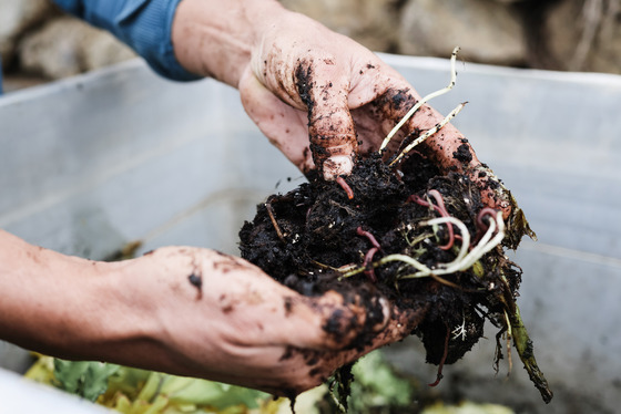 Free Worm Composting Workshop