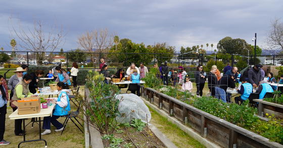 Second Sunday Garden Share