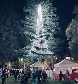 Holiday Tree Lighting