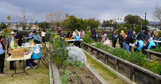 Santa Clara Seed Share