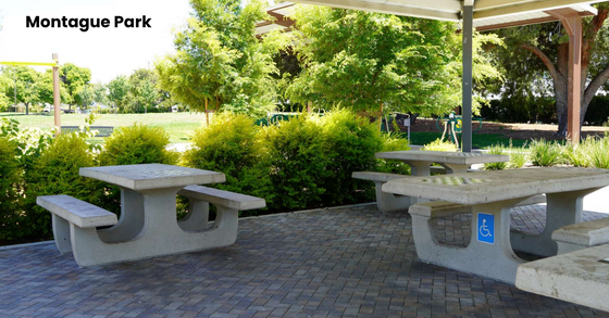 Image of a picnic rental 