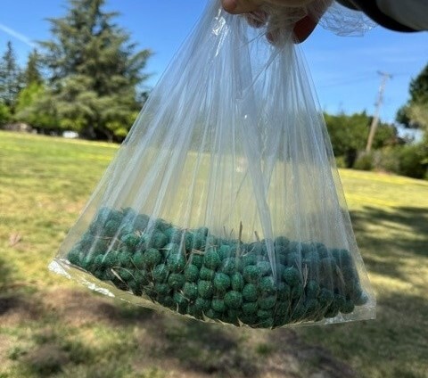 Poison Pellets in Bag