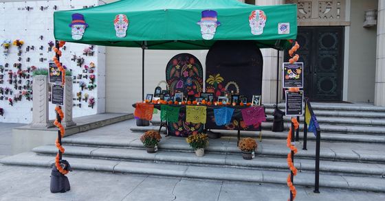 A colorful Día de los Muertos altar decorated with marigolds, painted skulls, framed photos, and flowers