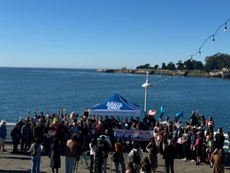 Wharf Press Conference