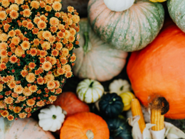 Thanksgiving Closure