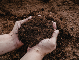 Compost
