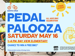 Pedal Palooza