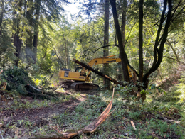 Wildfire Prep