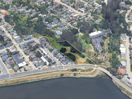 Jessie Street Marsh